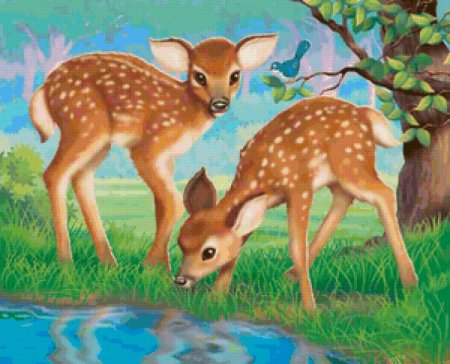 Пятнистый олень раскраска для детей