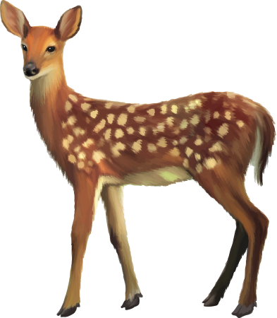 Пятнистый олень раскраска