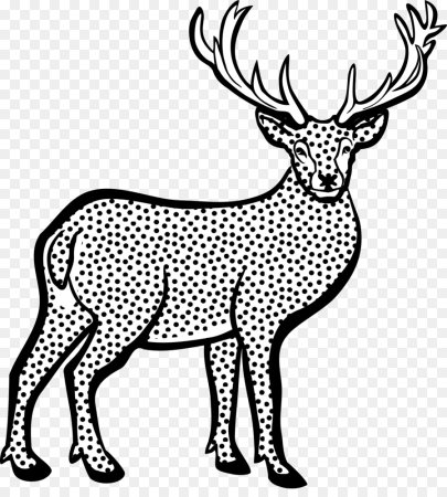 Рисование животные зимой подготовительная группа