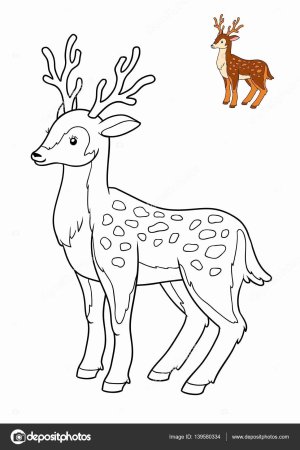 Пятнистый олень раскраска для детей