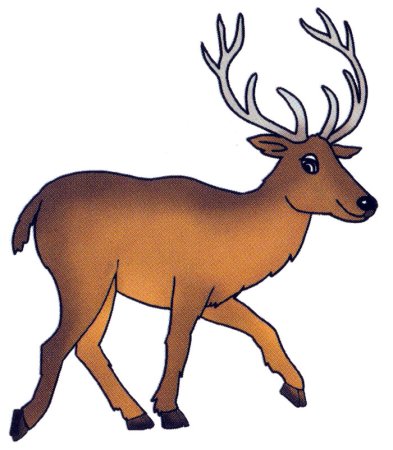 Олень малыш