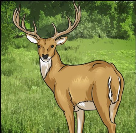 Олень рисунок цветной