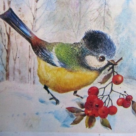 Рисование синички