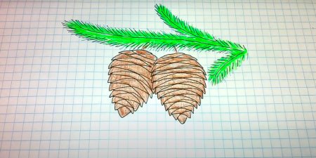 Рисование еловой шишки