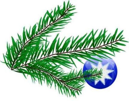 Рисование Еловая веточка