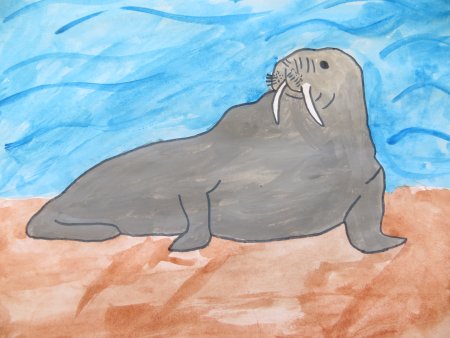 Морж рисунок