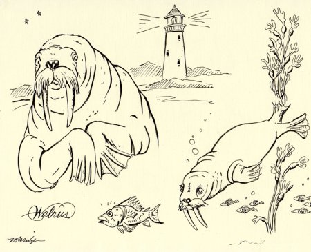 Морж стилизация