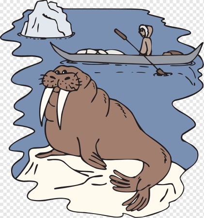 День моржа для детей