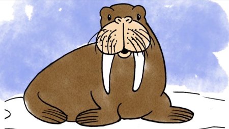 Морж милый арт