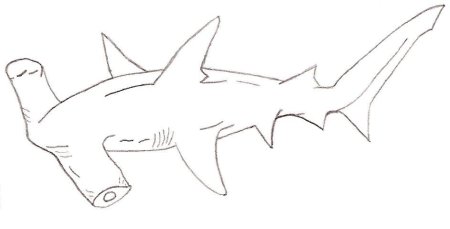 Рыба молот раскраска