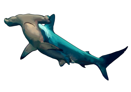 Как нарисовать акулу молот ребенку