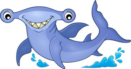 Белая акула раскраска