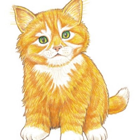 Котик для детей