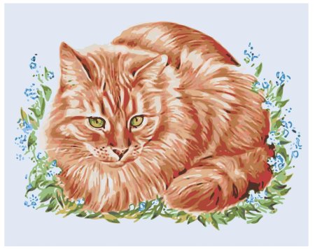 Рыжая кошка рисунок