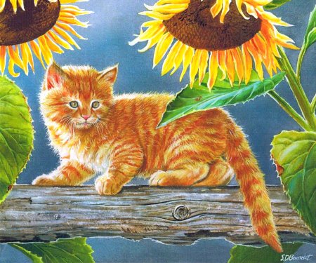 Рыжий кот нарисованный