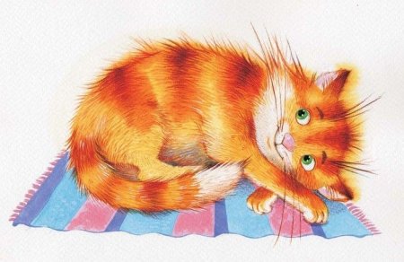 Кошка рисунок цветной
