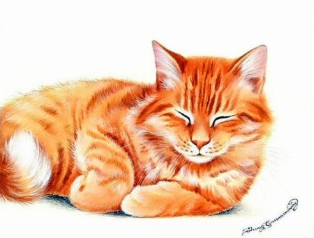 Рыжий котик мультяшный