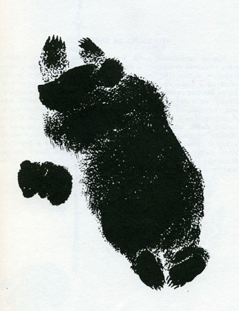 Евгений Чарушин иллюстрации пятнами