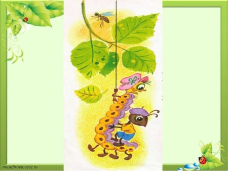 Бианки в. в. "приключения муравьишки"