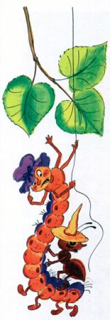 Гусеница листовертка Бианки