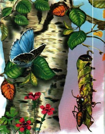 Печальная гусеница