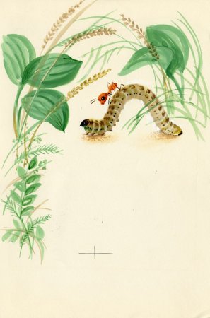 Гусенницаакварельбюдля детей