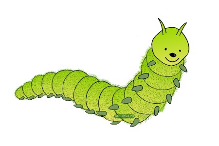 Гусеница листовертка Бианки