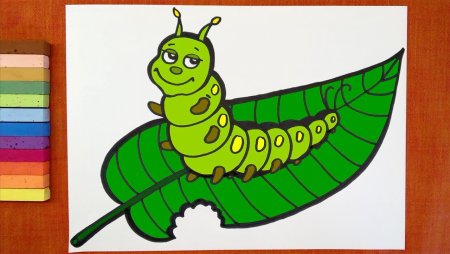 Гусеница листовертка рисунок для детей