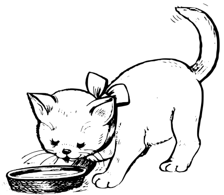 Котенок. Раскраска