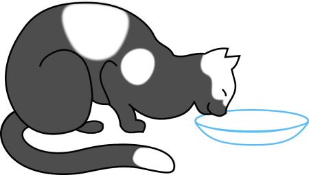 Кот с миской молока