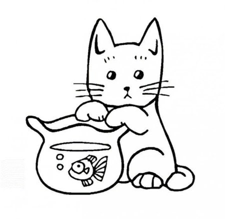 Раскраска кот