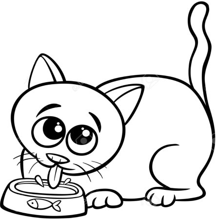 Раскраска миска для кошки