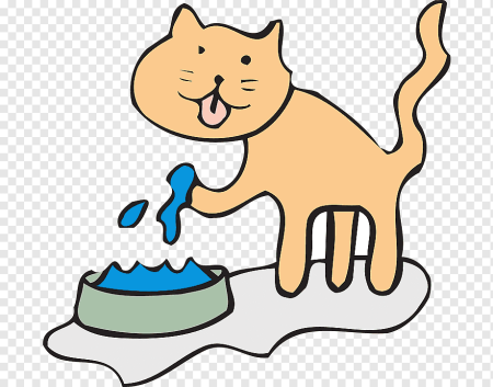 Кот с Микой