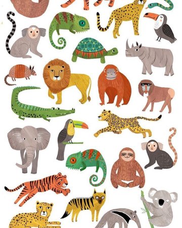 Картинка джунгли зовут