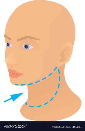 Шея рисунок