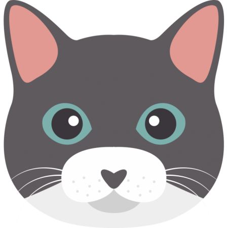 Нарисовать мордочку котика