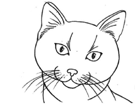 Лицо кошки раскраска