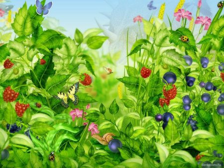 Раскраска. Лето