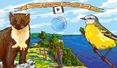 Рисунки заповедника Самарская лука