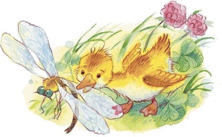 Храбрый утёнок Борис Житков