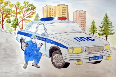 Цветографические схемы сотрудников ДПС