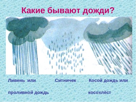 Ливень ситничек косохлёст