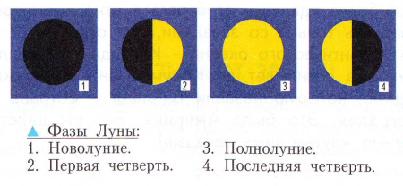 Фазы Луны рисунок