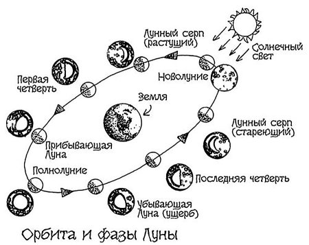 Схема поясняющая смену фаз Луны