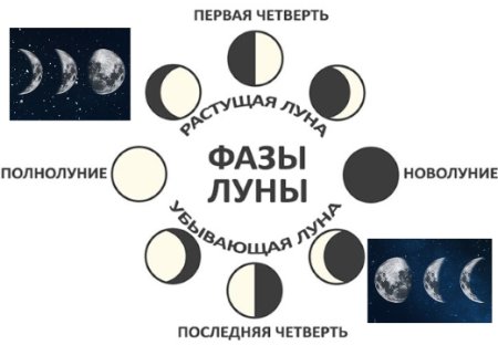 Фазы Луны рисунки и названия