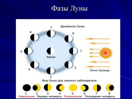 Фазы Луны