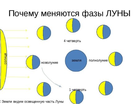 Схема смены фаз Луны