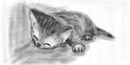 Рисование бедный котик