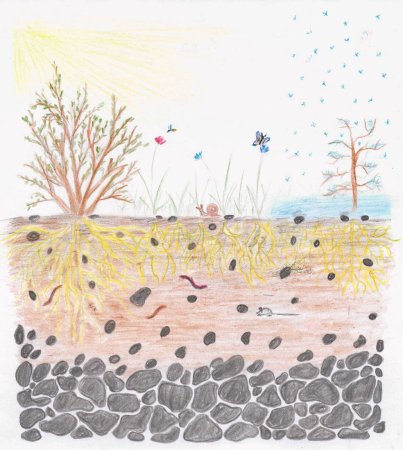 Нарисовать почву