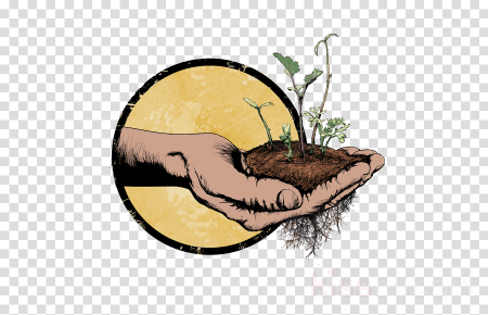 Макет почвы